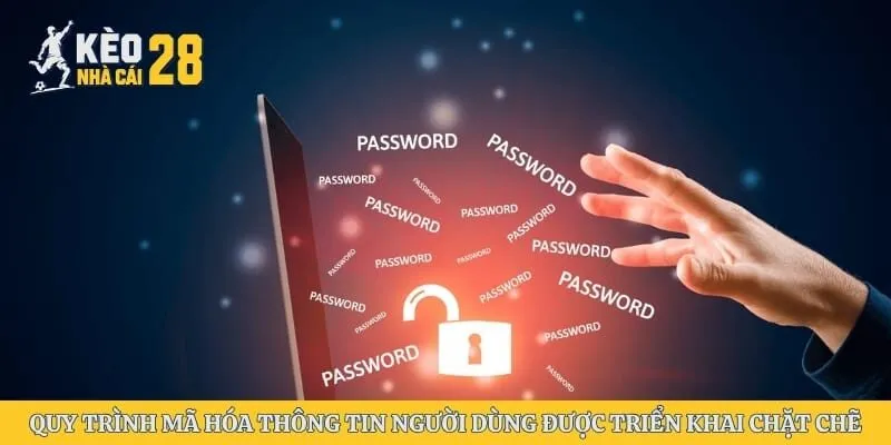 Quy trình mã hóa thông tin người dùng được triển khai chặt chẽ